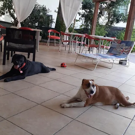 Hotel Migani-2